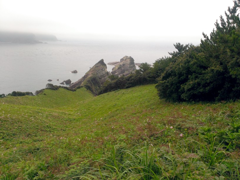 鳥の巣山展望所から望む海岸と鹿の子ユリ