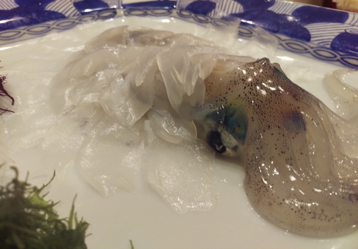 イカのお刺身