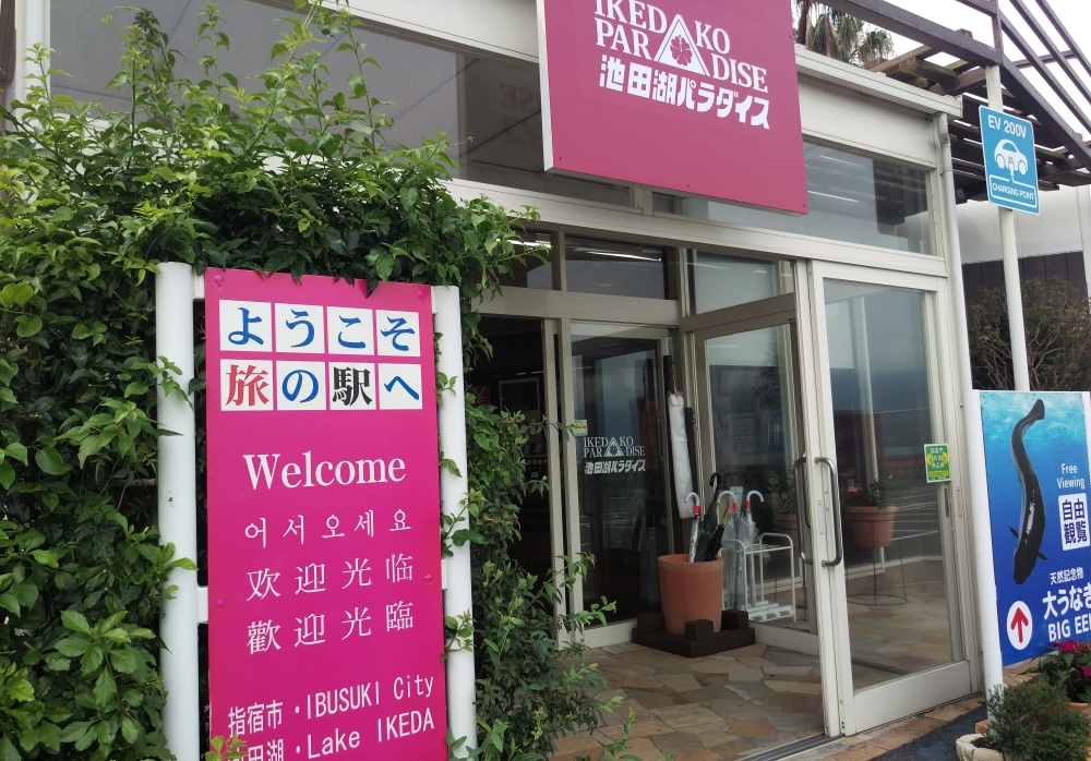 大うなぎ見学