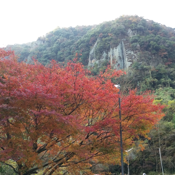 深耶馬渓(一目八景)