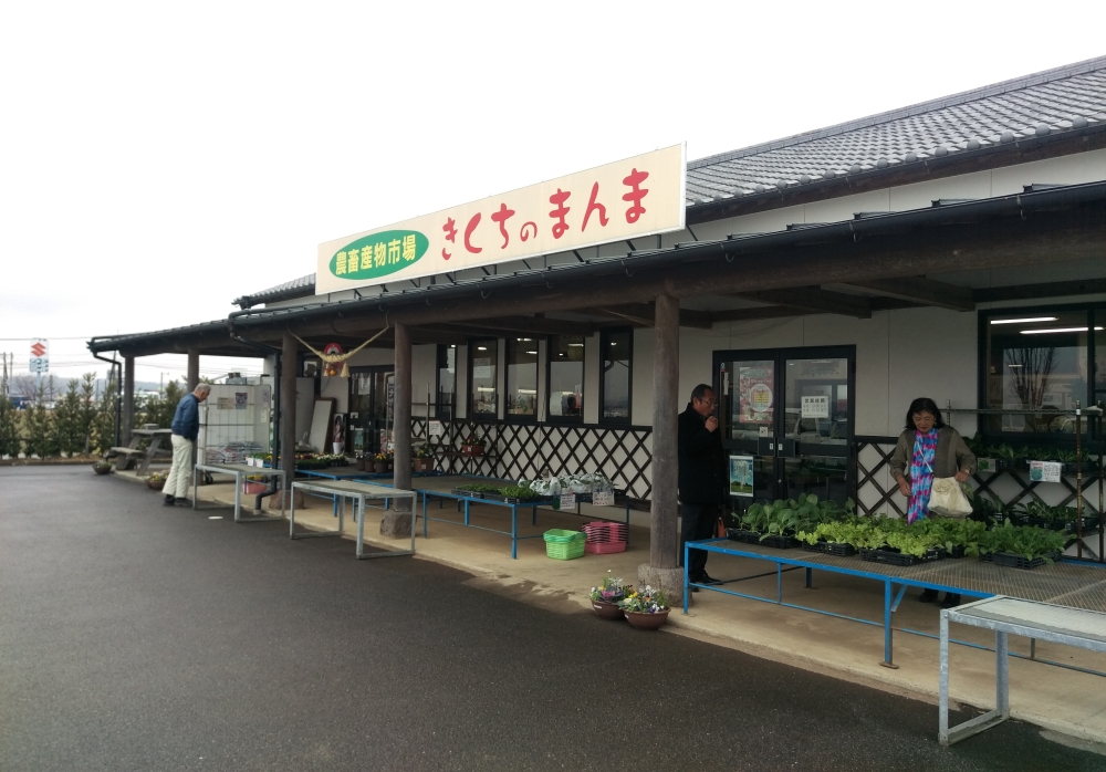 時間調整で立ち寄った、きくちのまんま