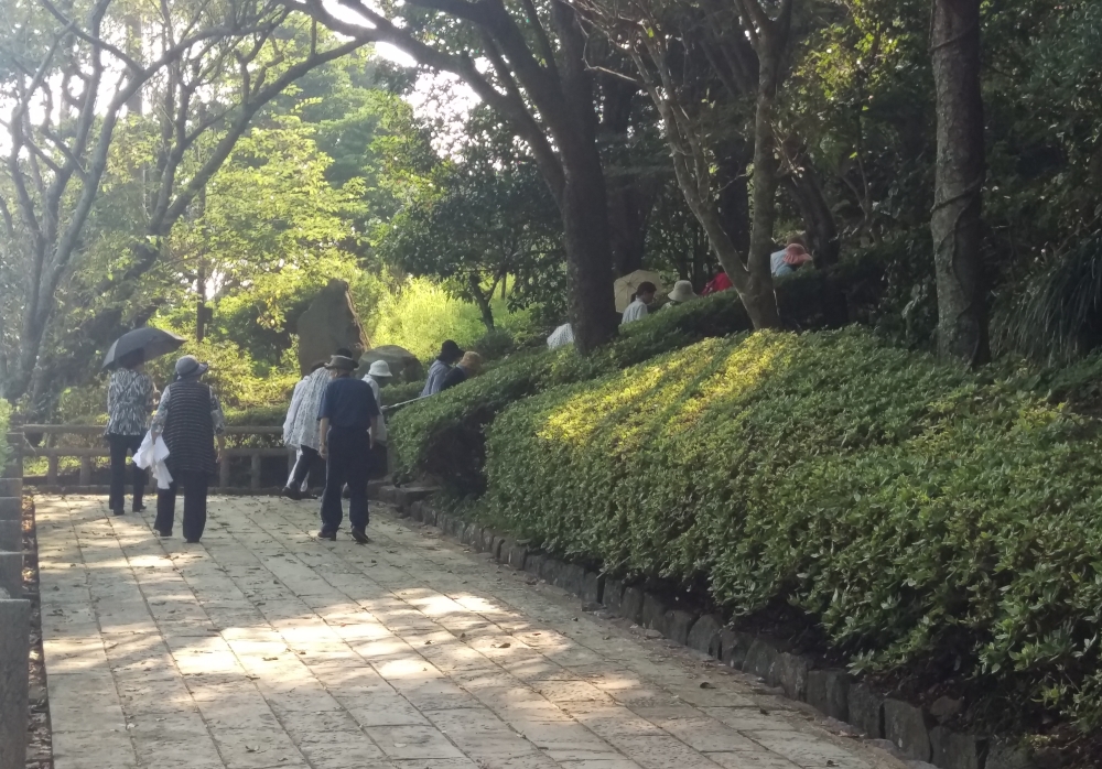 頑張って階段を登りました