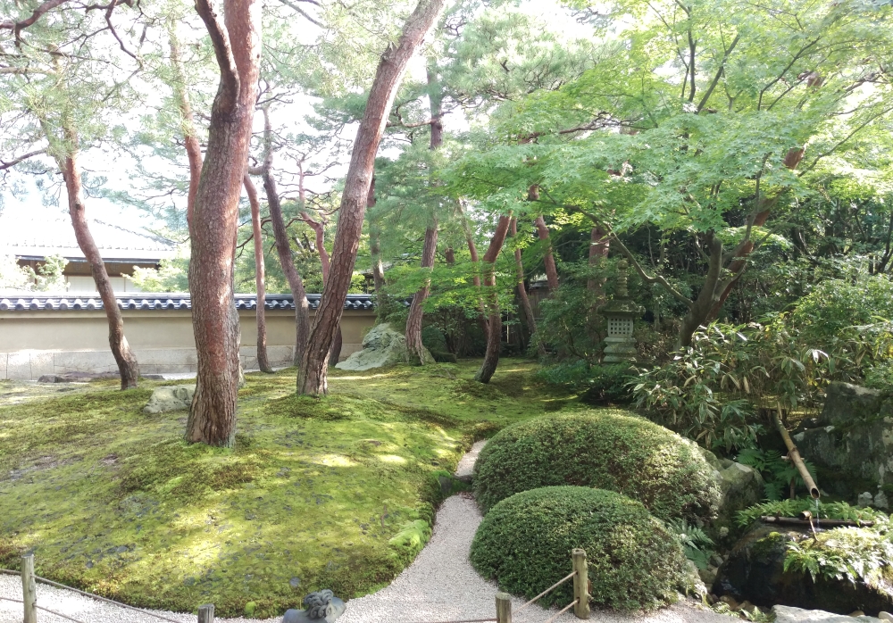 庭園2