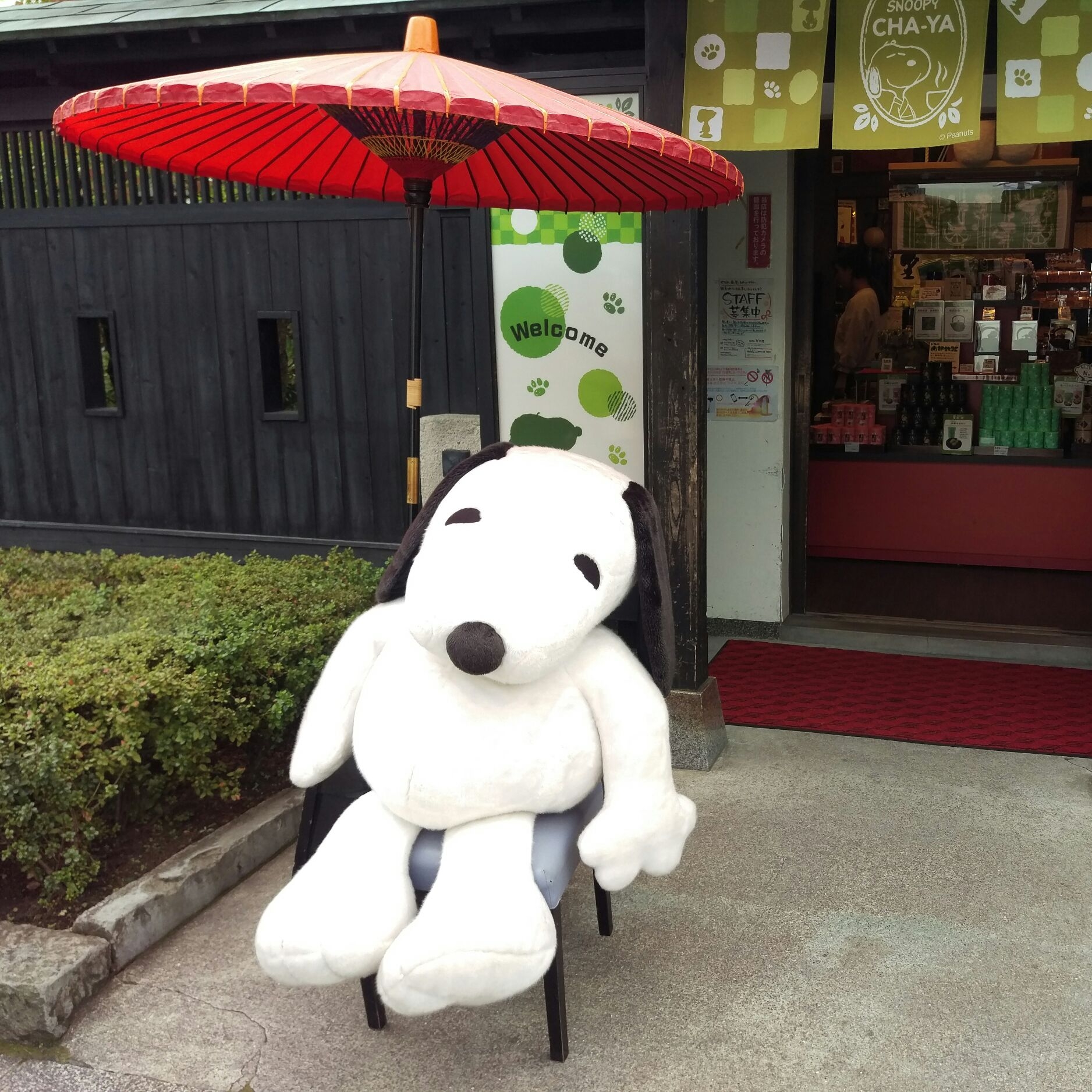 湯布院の旅(第2便)