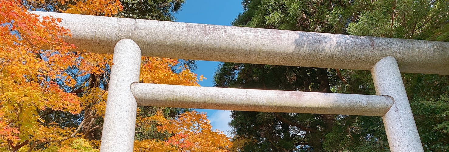 秋の高千穂紅葉の旅(第一班)