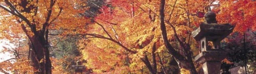 新宮寺紅葉と人吉温泉の旅