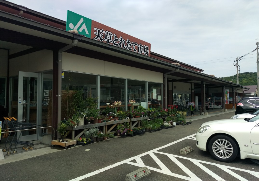 とれたて市場