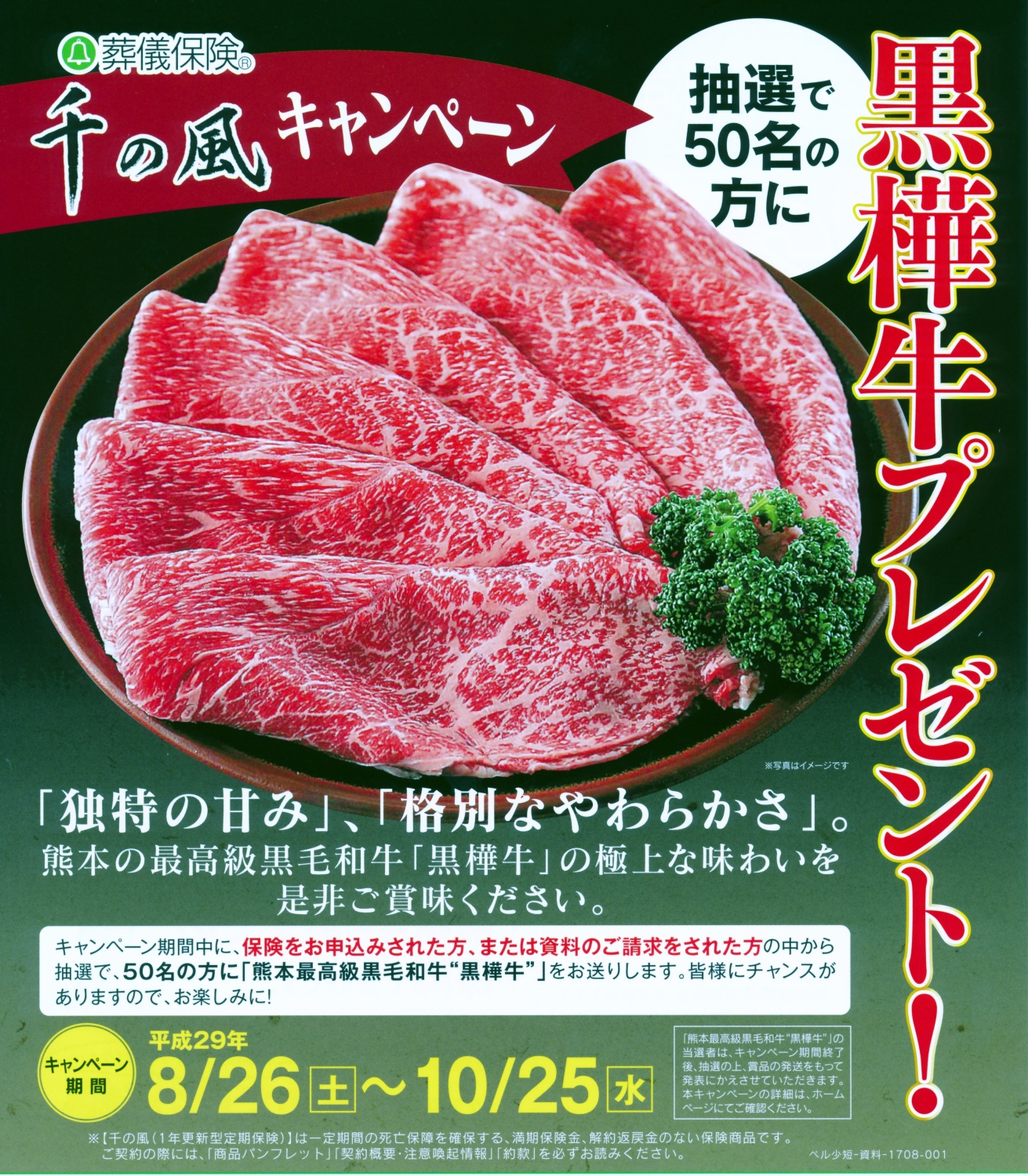 リーフレット