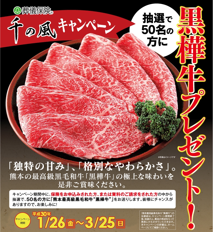 リーフレット