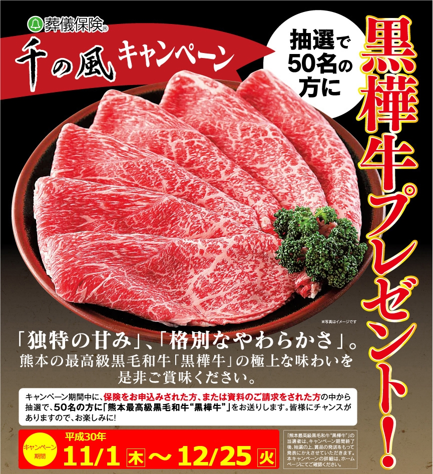リーフレット