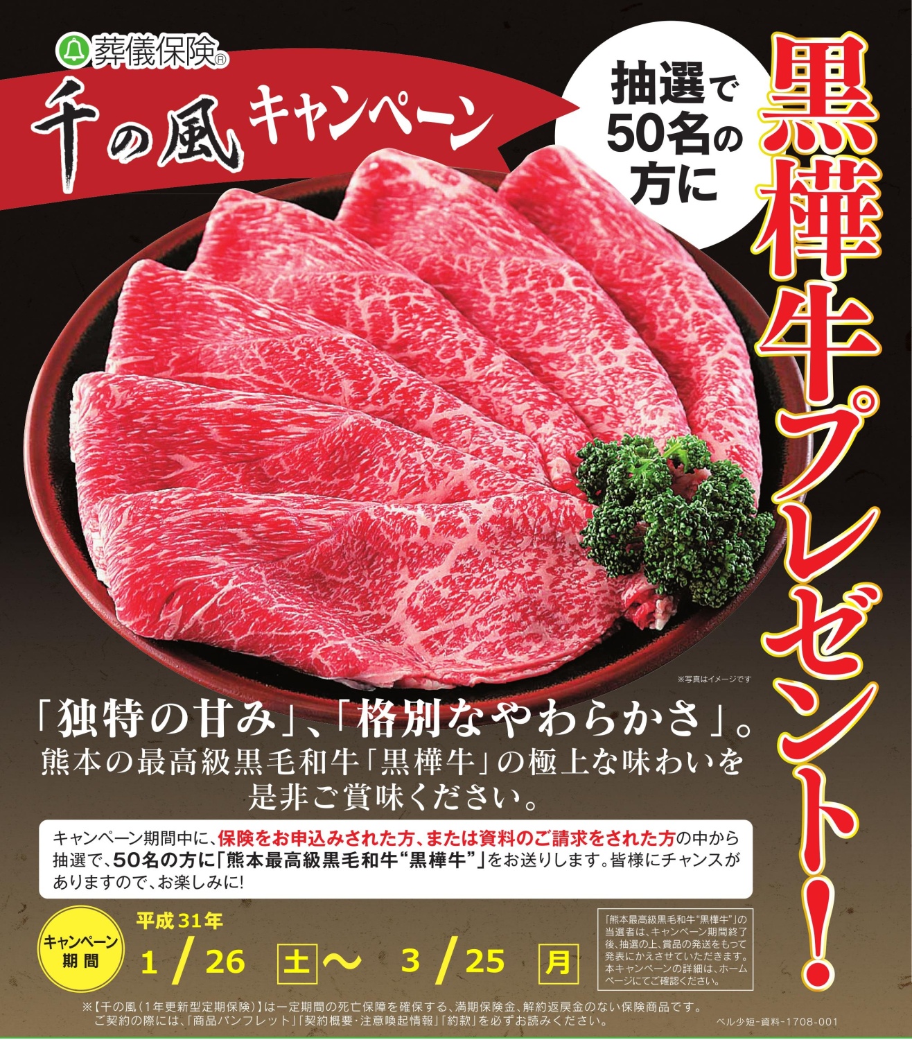 リーフレット