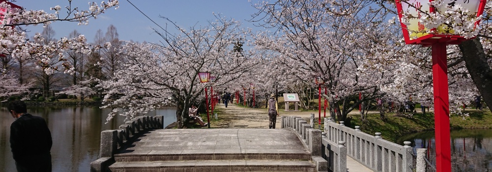 2021桜お花見ツアー(第1便)