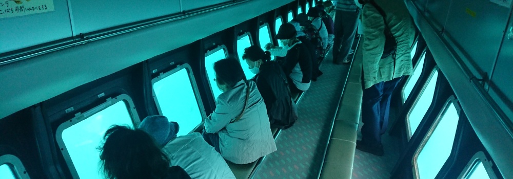 うしぶか海中散歩の旅(第1便)