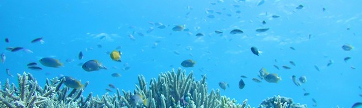 うしぶか海中散歩の旅
