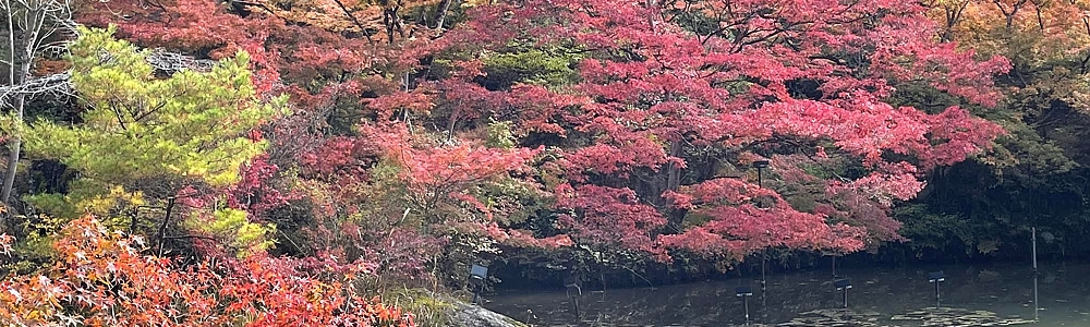秋の御船山楽園の旅 秋の御船山楽園の旅