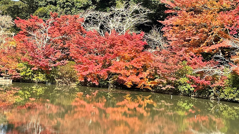 楽園の景色