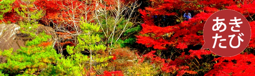 秋の御船山楽園の旅