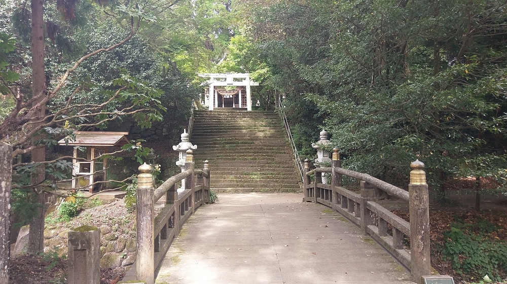 大杉の切り株なども見事でした