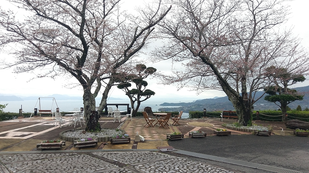 桜と不知火海