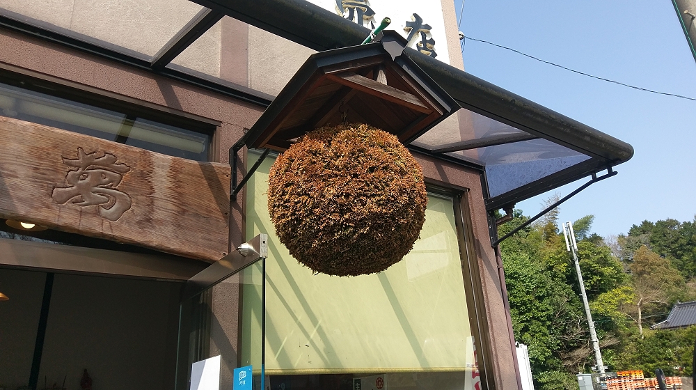 店頭に下げられた杉玉
