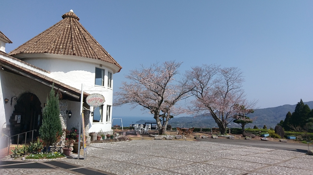 海と桜