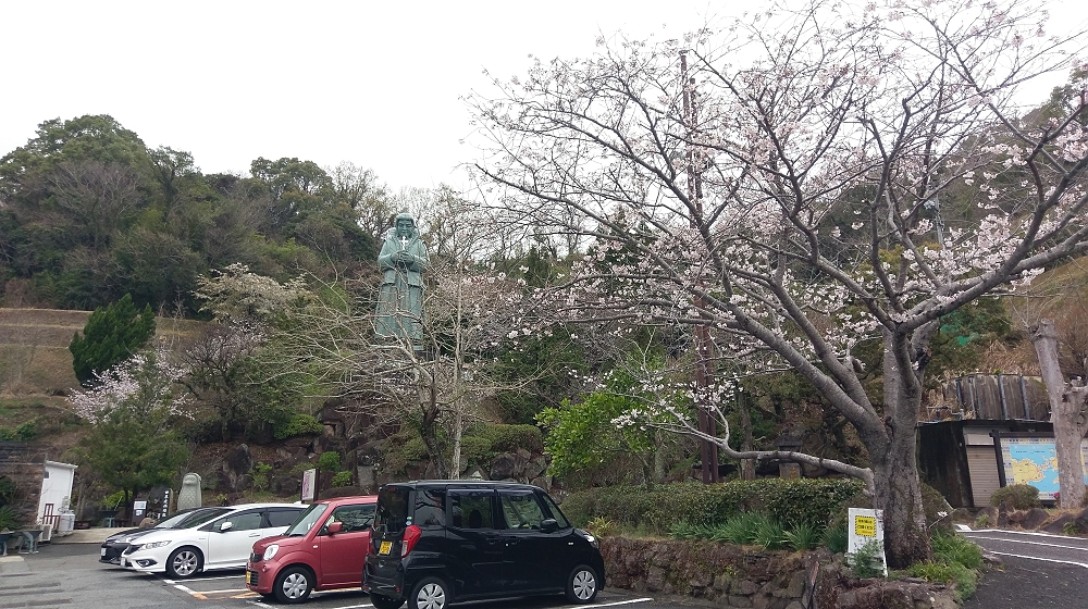 こちらの桜もほぼ満開 こちらの桜もほぼ満開