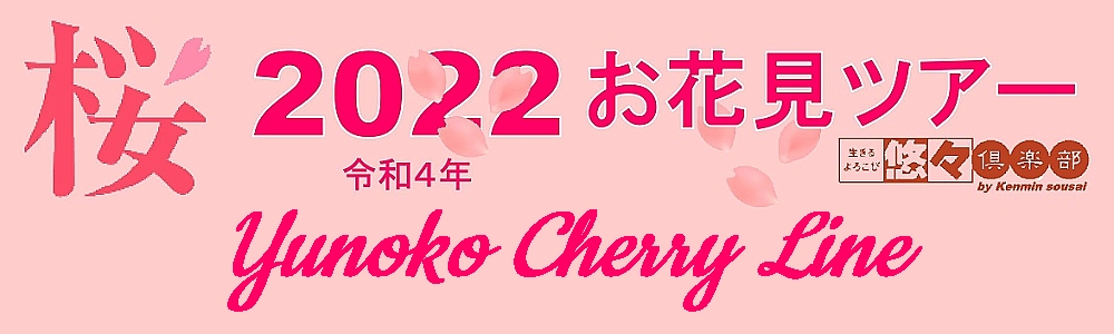 2022 桜 お花見ツアー 2022 お花見ツアー