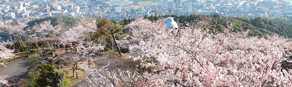 2023 桜お花見ツアー 2023 桜お花見ツアー