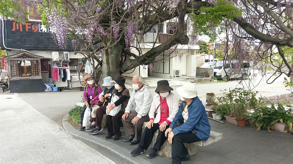 藤の下でしばし休憩
