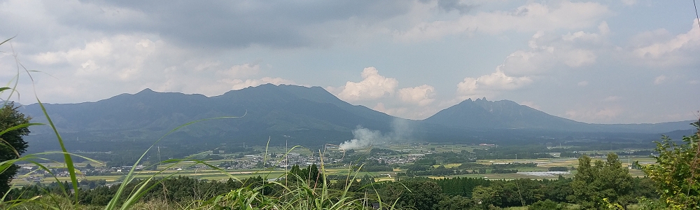 自然葬のお手伝いを行いました