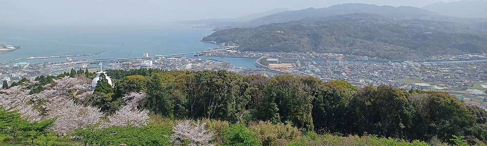 2023桜お花見ツアー(第二便)を開催 2023桜お花見ツアー(第二便)を開催