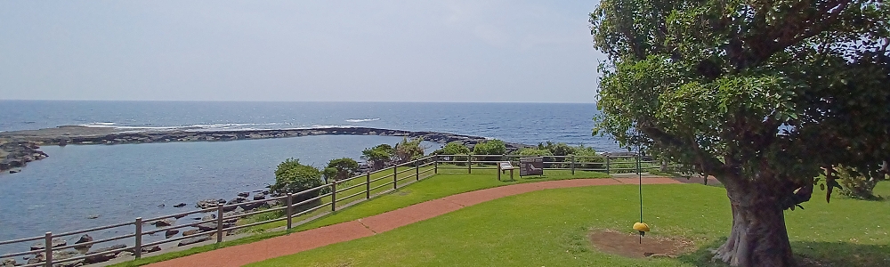 南薩満喫の旅を開催