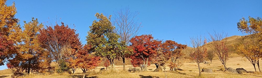 １１月の自然葬墓地見学ツアー