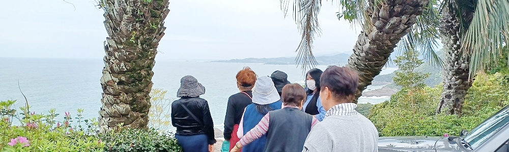 延岡日帰りの旅(第2便)を開催 延岡日帰りの旅(第2便)を開催