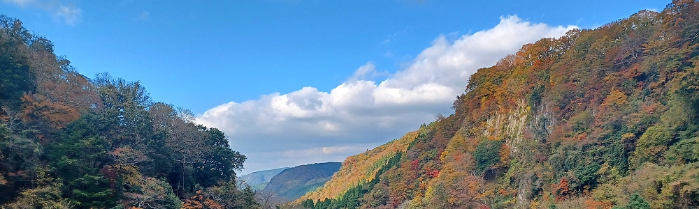 耶馬渓･くじゅう紅葉の旅を開催