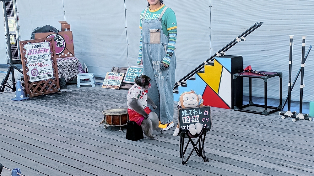 デッキでは猿回しも デッキでは猿回しも