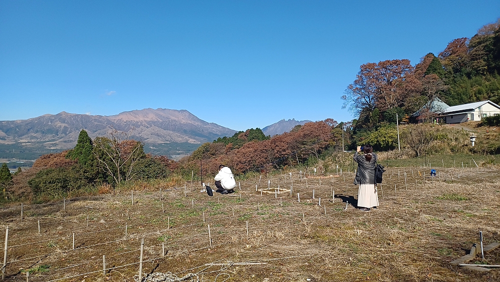 墓所での様子 墓所での様子