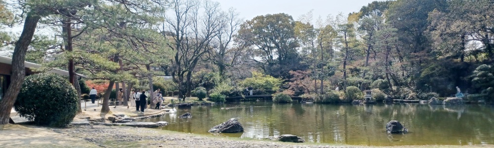 ２０２６ 桜 お花見ツアーを開催