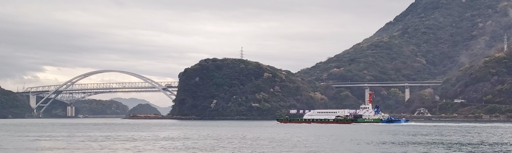 海を渡る｢つばめ｣を見に行こうツアーを開催