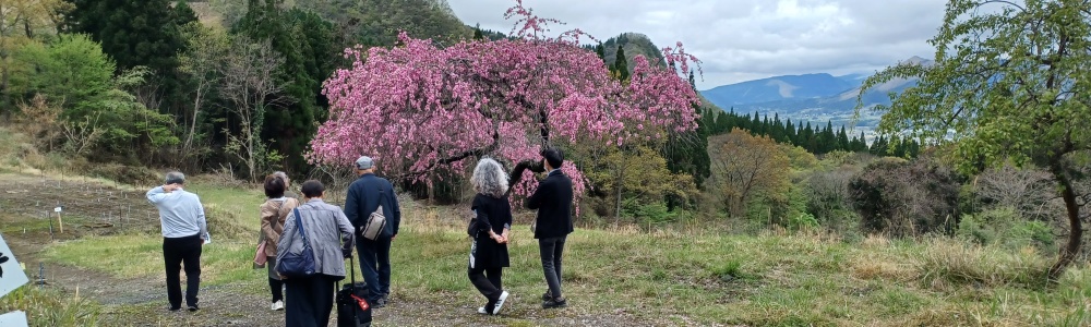 自然葬の里見学会を開催