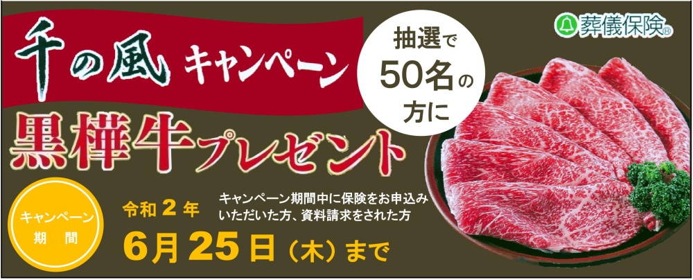 リーフレット