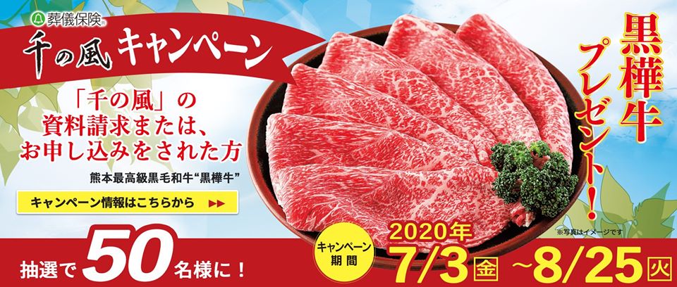リーフレット