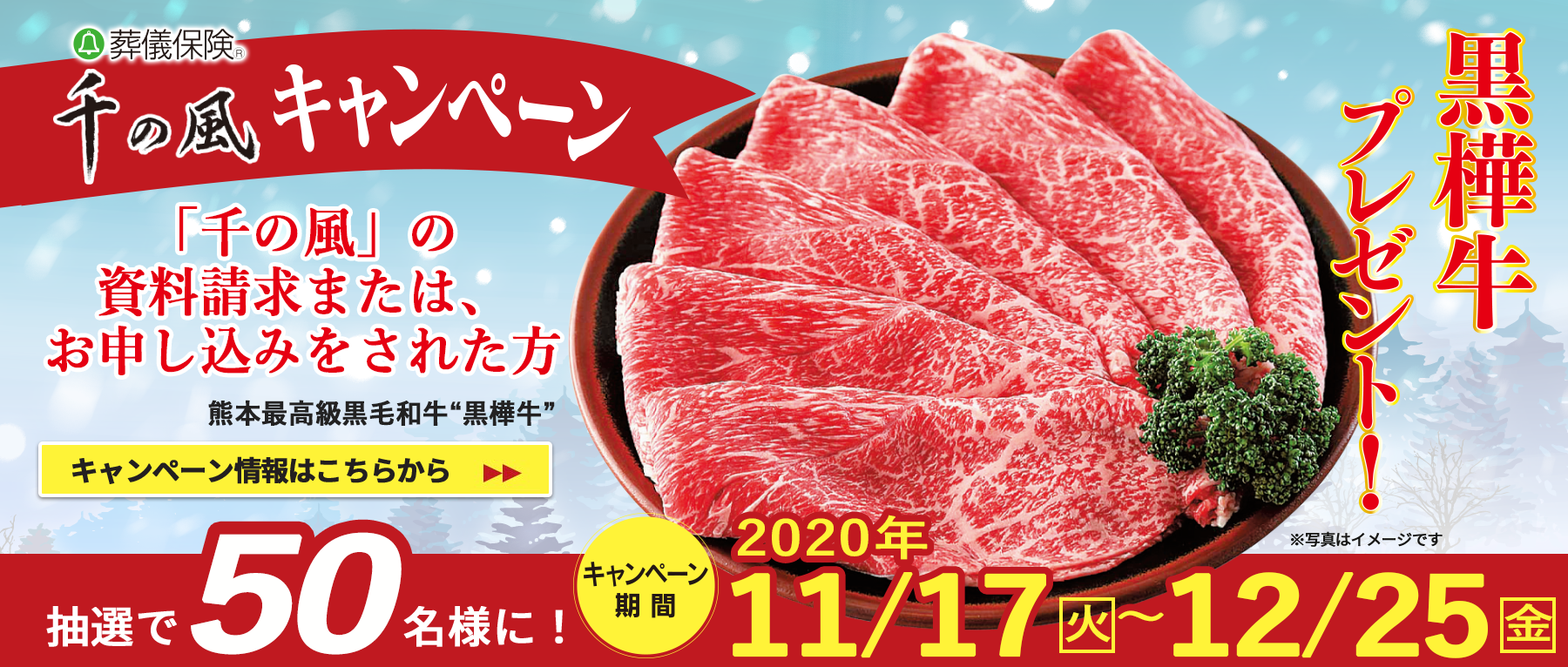 キャンペーン
