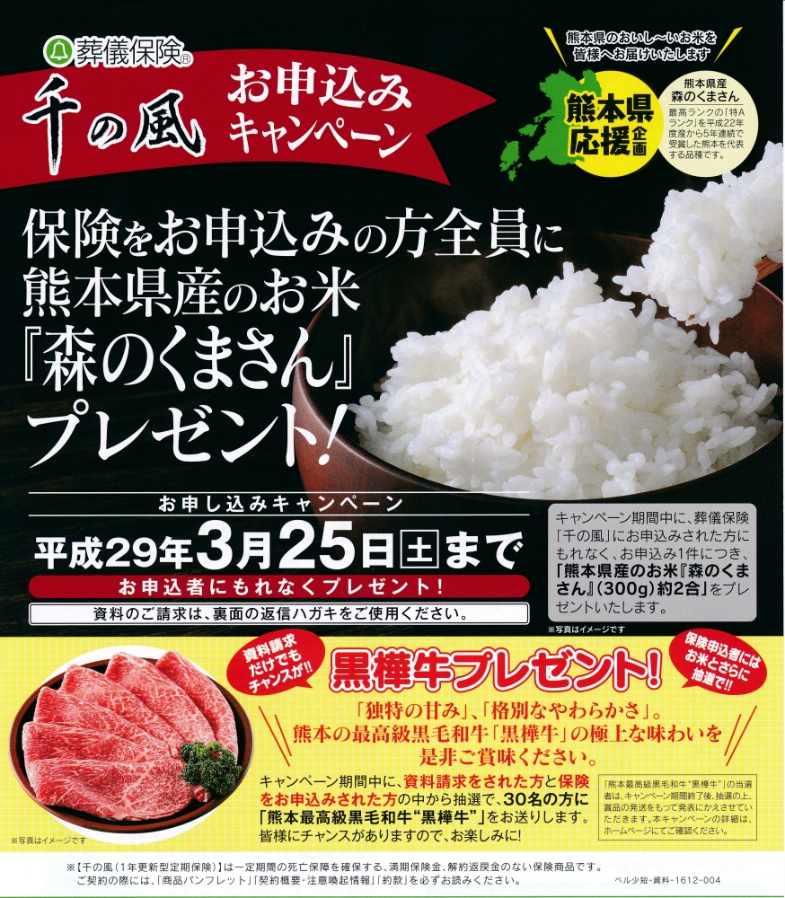 リーフレット